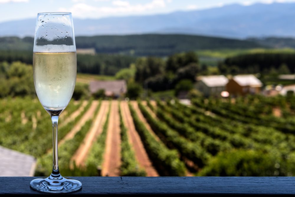 Cava web privats