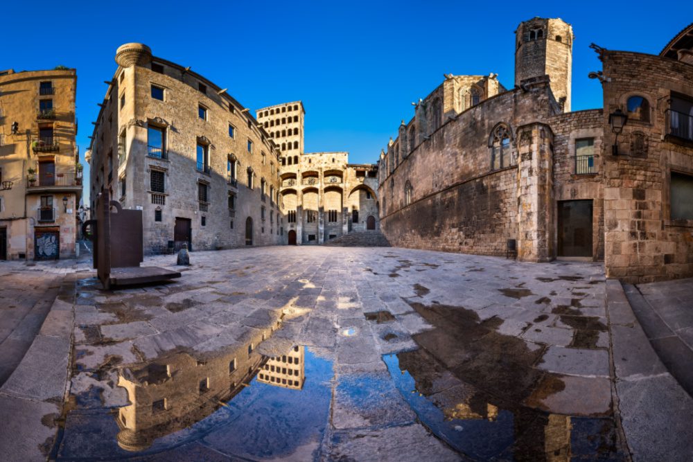 Plaça del Rei web privats