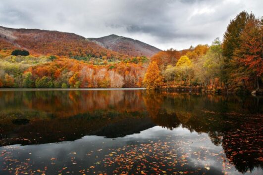Tardor al Montseny: excursió al pantà de Santa Fe i al "Castanyer de les nou branques" de Viladrau
